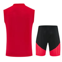 Conjunto de Entrenamiento Alemania 26/27