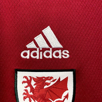 Camiseta Selección País de Gales Home 2022