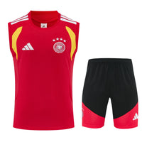 Conjunto de Entrenamiento Alemania 26/27