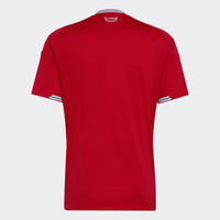 Camiseta Galés Home 26/27